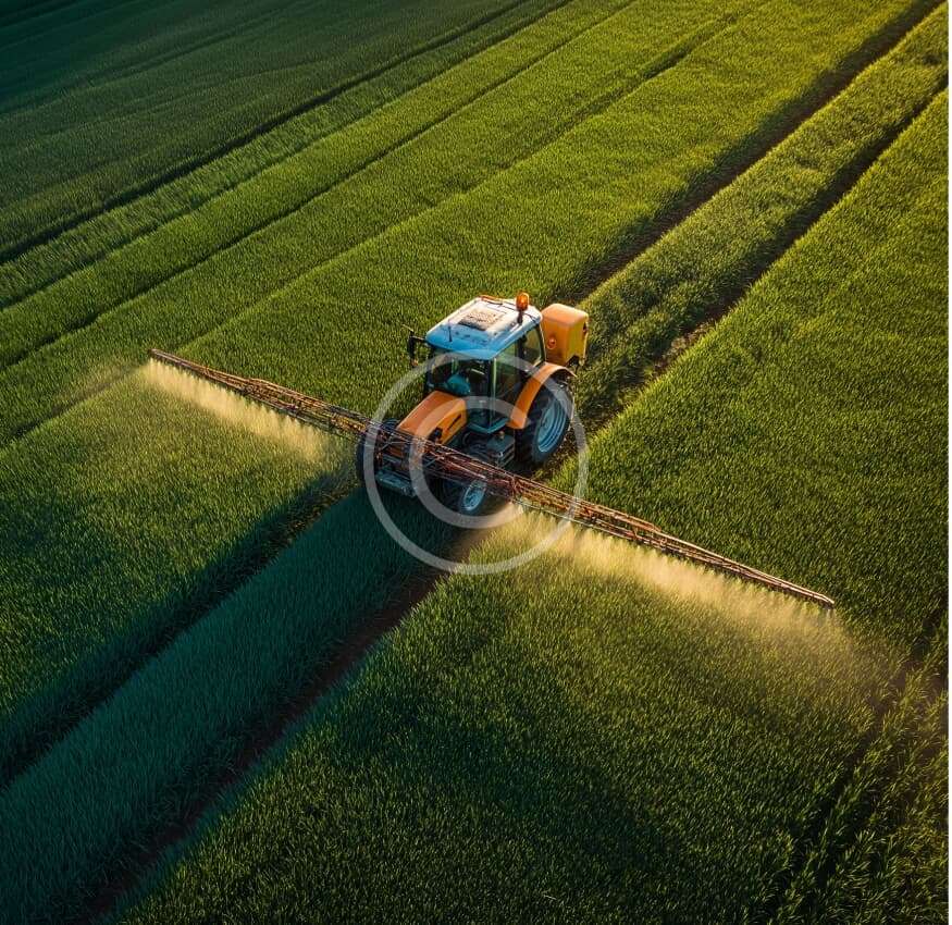 Pest removal